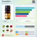 عطر ادکلن پینومبرا آلکمیا پرفیومز - Penumbra Alkemia Perfumes - بررسی، قیمت و خرید
