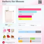 عطر ادکلن بربری هر بلاسم بربری - Burberry Her Blossom Burberry - بررسی، قیمت و خرید