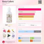 عطر ادکلن رزا گلور اتار کالکشن - Rosa Galore Attar Collection - بررسی، قیمت و خرید