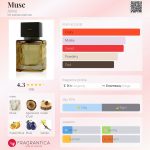 عطر ادکلن ماسک اجمل - Musc Ajmal - بررسی، قیمت و خرید