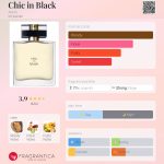 عطر ادکلن شیک این بلک ایون - Chic in Black Avon - بررسی، قیمت و خرید