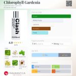 عطر ادکلن کلروفیل گاردنیا کوم د گارسون - Chlorophyll Gardenia Comme des Garcons - بررسی، قیمت و خرید