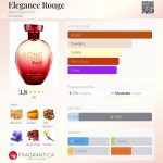 عطر ادکلن اِلِگانس روژ آنا هیکمن - Elegance Rouge Ana Hickmann - بررسی، قیمت و خرید