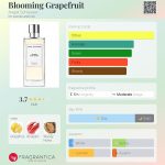 عطر ادکلن بلومینگ گریپ‌فروت انجل اسچلسر - Blooming Grapefruit Angel Schlesser - بررسی، قیمت و خرید