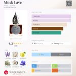 عطر ادکلن ماسک لاوه اریج ل دوری - Musk Lave Areej Le Doré - بررسی، قیمت و خرید