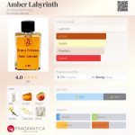 عطر ادکلن امبر لابیرینث اسیدیسا پرفیومز - Amber Labyrinth Acidica Perfumes - بررسی، قیمت و خرید