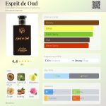 عطر ادکلن اسپریت د عود کریستین پروونزانو پارفومز - Esprit de Oud Christian Provenzano Parfums - بررسی، قیمت و خرید