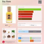 عطر ادکلن بِی رام بیتچ گیزا - Bay Rum Beach Geeza - بررسی، قیمت و خرید