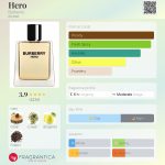عطر ادکلن هیرو بربری - Hero Burberry - بررسی، قیمت و خرید