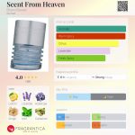 عطر ادکلن سنت فرام هیون برونو بنانی - Scent From Heaven Bruno Banani - بررسی، قیمت و خرید