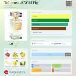 عطر ادکلن تیوبرُز اند وایلد فیگ کوچین - Tuberose & Wild Fig COCHINE - بررسی، قیمت و خرید