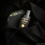 عطر ادکلن سندلو او دو پرفیوم آکوا دی پارما - Sandalo Eau de Parfum Acqua di Parma - بررسی، قیمت و خرید