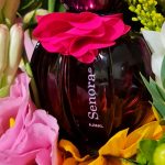 عطر ادکلن سنیورا اجمل - Senora Ajmal - بررسی، قیمت و خرید