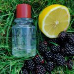 عطر ادکلن نور اِسپرینگ بژرک اند بریز - Never Spring Bjork and Berries - بررسی، قیمت و خرید