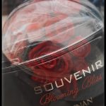 عطر ادکلن سوغنیر بلومینگ بلیس افنان - Souvenir Blooming Bliss Afnan - بررسی، قیمت و خرید