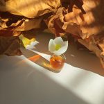 عطر ادکلن کلوئه نارسیس کلوئه - Chloé Narcisse Chloé - بررسی، قیمت و خرید