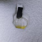 عطر ادکلن بیژن من بیژن - Bijan Men Bijan - بررسی، قیمت و خرید