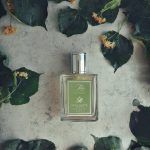 عطر ادکلن تیلیا کورداتا آکا کاپا - Tilia Cordata Acca Kappa - بررسی، قیمت و خرید