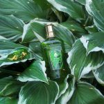 عطر ادکلن ویولتا اکستریم آکوا دی جنوا - Violetta Extreme Acqua di Genova - بررسی، قیمت و خرید