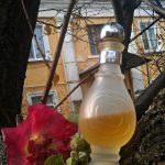 عطر ادکلن وینتج بلومارین - Vintage Blumarine - بررسی، قیمت و خرید