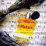 عطر ادکلن مم بوگ - MEM Bogue - بررسی، قیمت و خرید