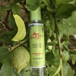 عطر ادکلن آب کُلُنیا کُنسِنتِرِدا او فغش آلوارز گومز - Agua de Colonia Concentrada Eau Fraîche Alvarez Gómez - بررسی، قیمت و خرید