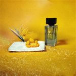 عطر ادکلن سانگ فور اِ واندِرِر ازمان - Song For a Wanderer Azman - بررسی، قیمت و خرید