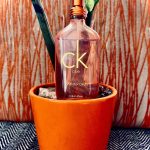 عطر ادکلن سی کی وان سامر دیز کلوین کلاین - Ck One Summer Daze Calvin Klein - بررسی، قیمت و خرید
