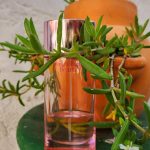 عطر ادکلن کلینیک هپی هارت کلینیک - Clinique Happy Heart 2003 Clinique - بررسی، قیمت و خرید