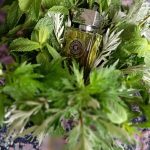 عطر ادکلن بوهِمیَن آرته پروفومی - Bohemien Arte Profumi - بررسی، قیمت و خرید