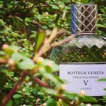عطر ادکلن پاریسو پالادیانو وی: لورو بوتگا ونتا - Parco Palladiano V: Lauro Bottega Veneta - بررسی، قیمت و خرید