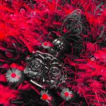 عطر ادکلن لا نوی دو بوهم آنا سویی - La Nuit de Bohème Anna Sui - بررسی، قیمت و خرید