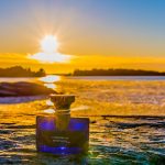 عطر ادکلن اسپلندیدا تیوبروز میستیک بولگاری - Splendida Tubereuse Mystique Bvlgari - بررسی، قیمت و خرید
