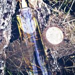 عطر ادکلن وودی عربیان عود - Woody Arabian Oud - بررسی، قیمت و خرید