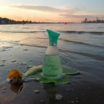 عطر ادکلن شانزه دو کاتی - Chanson d'Eau Coty - بررسی، قیمت و خرید