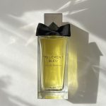 عطر ادکلن تلمن بلو الکس سیمون - Tellement Bleu Alex Simone - بررسی، قیمت و خرید