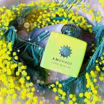 عطر ادکلن لاو میموزا آمواژ - Love Mimosa Amouage - بررسی، قیمت و خرید