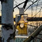 عطر ادکلن ایووک فور هر اجمل - Evoke for Her Ajmal - بررسی، قیمت و خرید