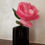 عطر ادکلن سیلور بلک آزارو - Silver Black Azzaro - بررسی، قیمت و خرید