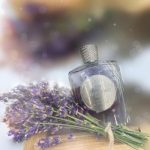 عطر ادکلن لاوندر آن د راکس اتکینسونز - Lavender on the Rocks Atkinsons - بررسی، قیمت و خرید