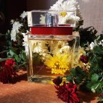 عطر ادکلن انجل شلسر اسنشیال انجل شلسر - Angel Schlesser Essential Angel Schlesser - بررسی، قیمت و خرید