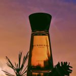 عطر ادکلن تاچ فور وومن بربری - Touch for Women Burberry - بررسی، قیمت و خرید