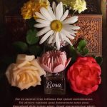 عطر ادکلن بلومارین رزا بلومارین - Blumarine Rosa Blumarine - بررسی، قیمت و خرید