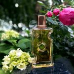 عطر ادکلن ایووک فور هر اجمل - Evoke for Her Ajmal - بررسی، قیمت و خرید