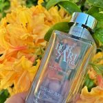 عطر ادکلن لمپونه، فیور دی میلو و سمی دی کاکائو بورساری - Lampone, Fior di Mielo e Semi di Cacao Borsari - بررسی، قیمت و خرید