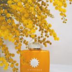 عطر ادکلن سانشاین وومن آمواژ - Sunshine Woman Amouage - بررسی، قیمت و خرید