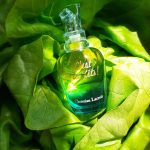 عطر ادکلن سلافت کریستین لاکروآ - C'est La Fete Christian Lacroix - بررسی، قیمت و خرید