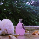 عطر ادکلن ایجنت پرووکاتور او اموشنل ایجنت پروواکتر - Agent Provocateur Eau Emotionnelle Agent Provocateur - بررسی، قیمت و خرید