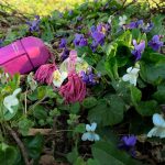 عطر ادکلن بوکه دی ویولت بورساری - Bouquet di Violette Borsari - بررسی، قیمت و خرید