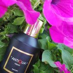 عطر ادکلن ایموتسیونی آنتیکا فیرنزه - Emozioni Antiqua Firenze - بررسی، قیمت و خرید